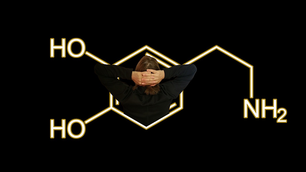 dopamine-4646236_1280