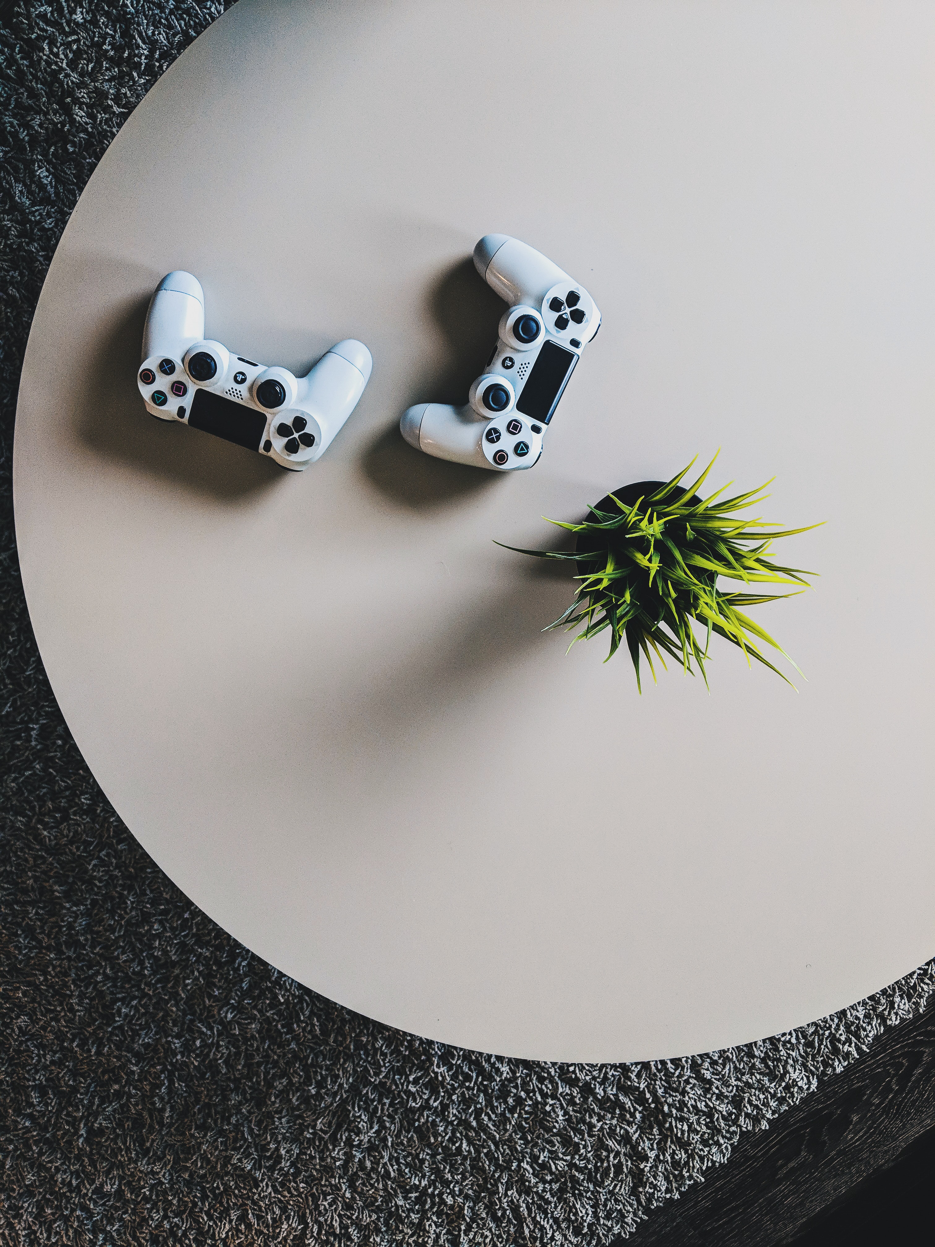 lweendo-hachileka-vOtvEuS6C0M-unsplash